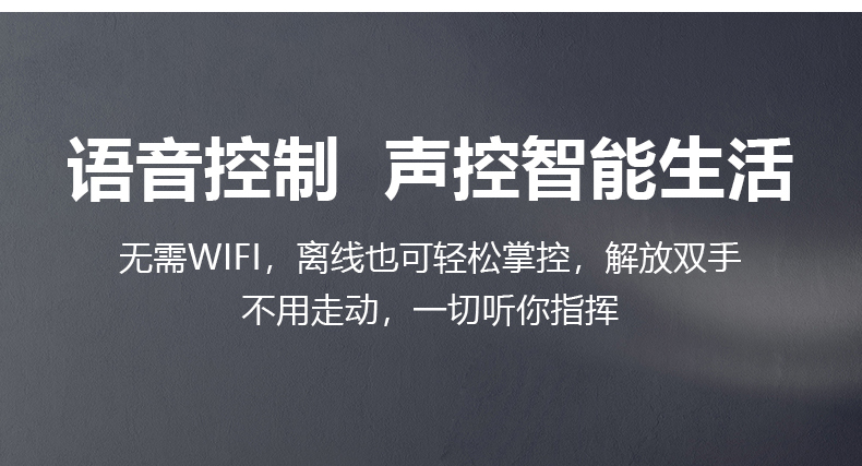 A308详情_05.jpg